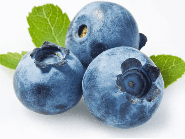 Blue Berries