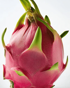 Dragon Fruit